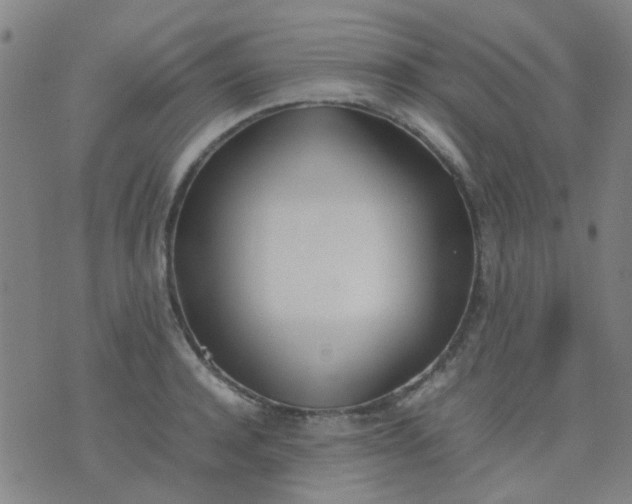 X0000074310944200609081939