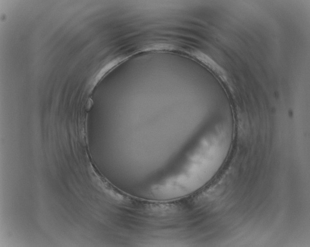 X0000074310945200609081939