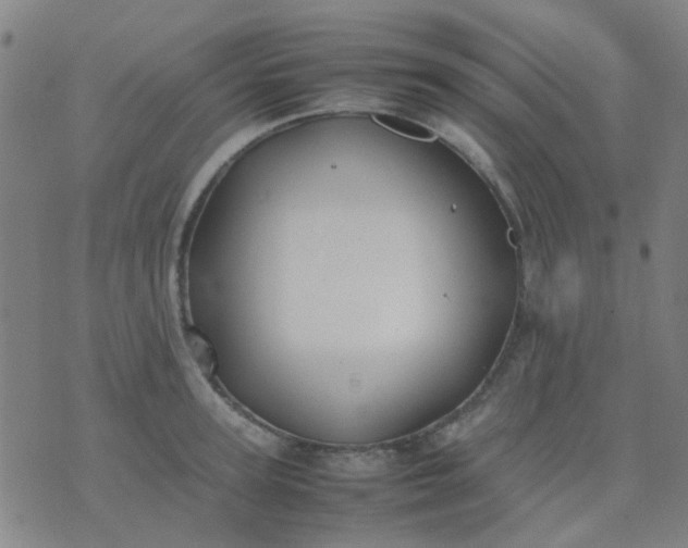 X0000074310947200609081939