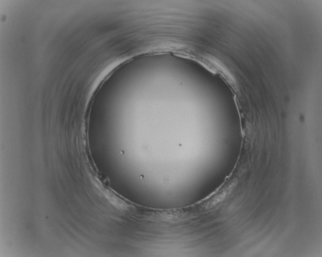 X0000074310948200609081939