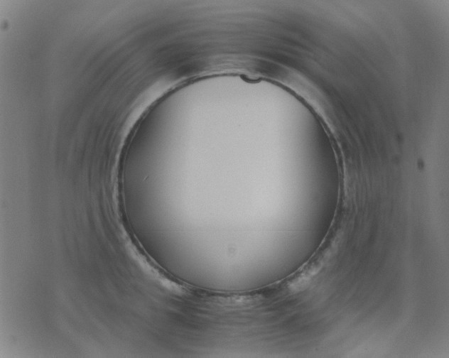 X0000074310949200609081939