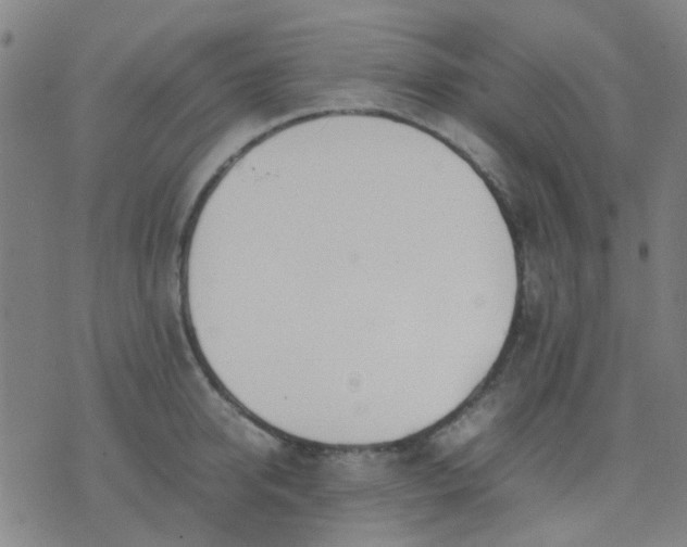 X0000074310950200609081939