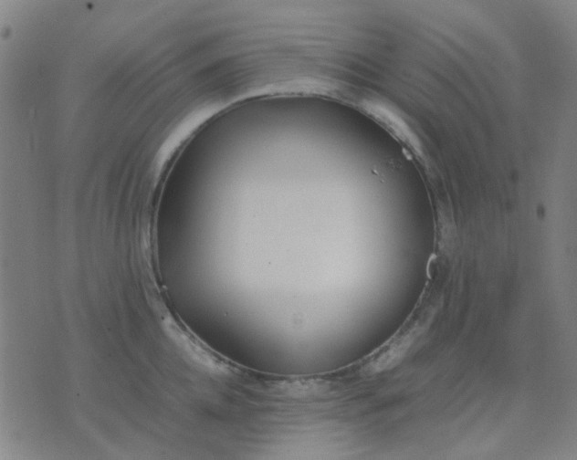 X0000074310952200609081939