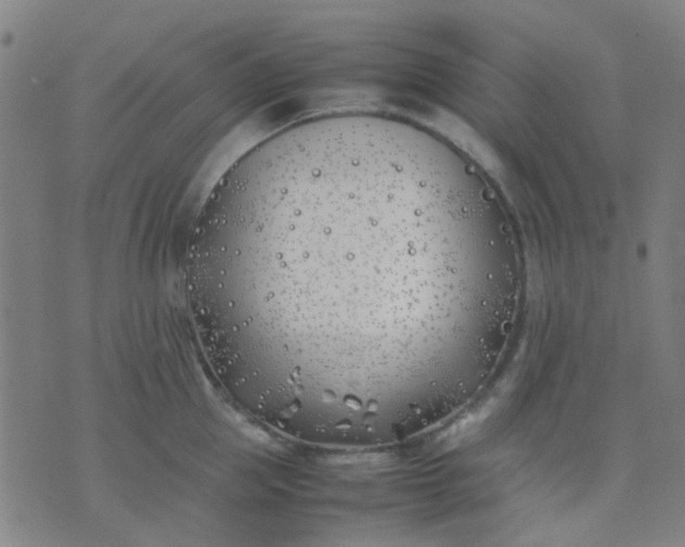 X0000074310953200609081939