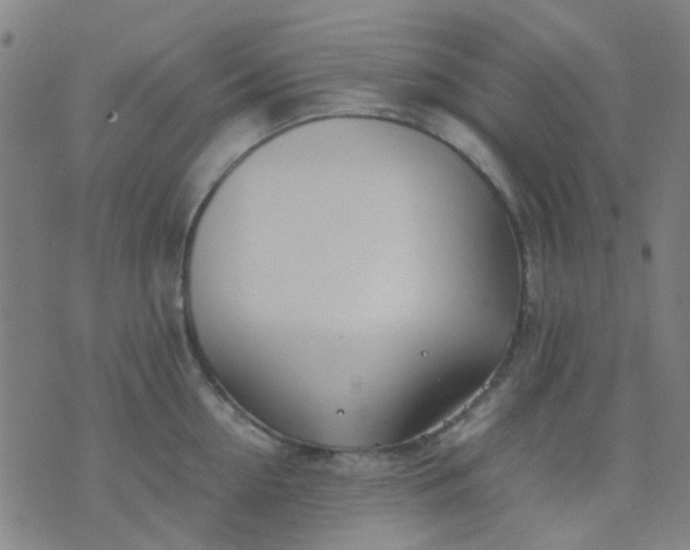 X0000074310954200609081939