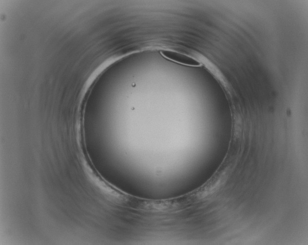 X0000074310955200609081939