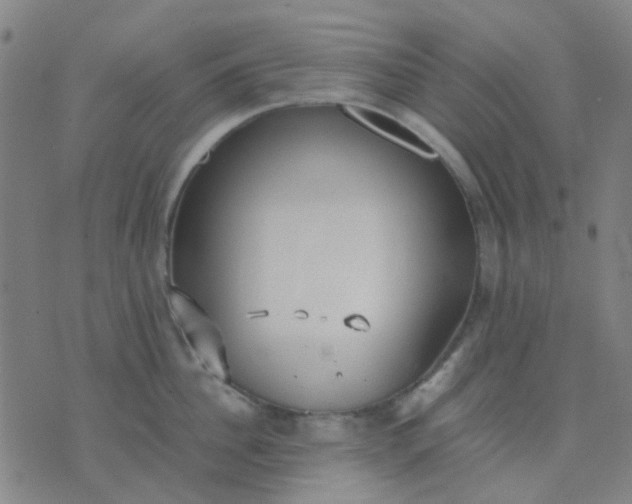 X0000074310956200609081939