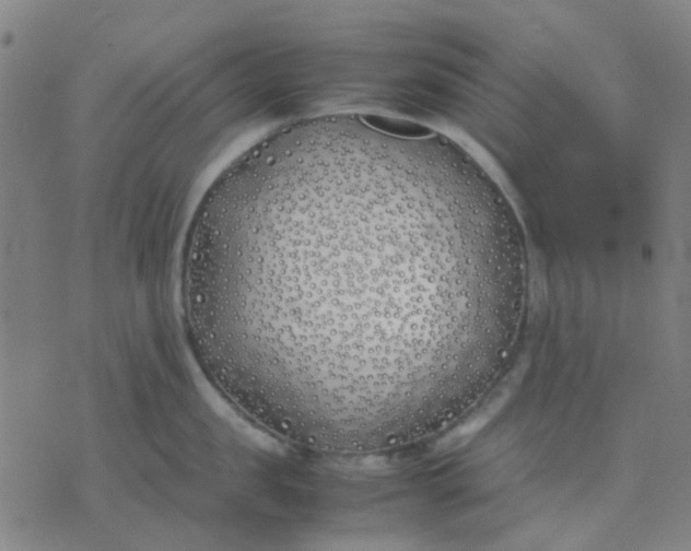 X0000074310957200609081939