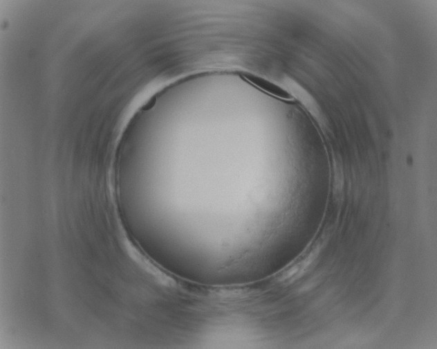 X0000074310958200609081939