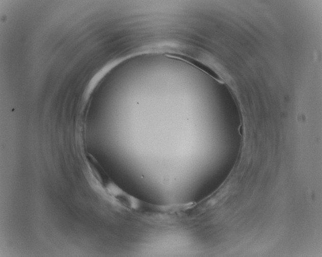 X0000074310960200609081939