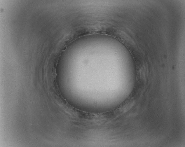 X0000074310961200609081938