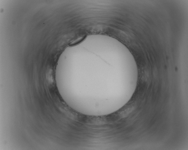 X0000074310962200609081938