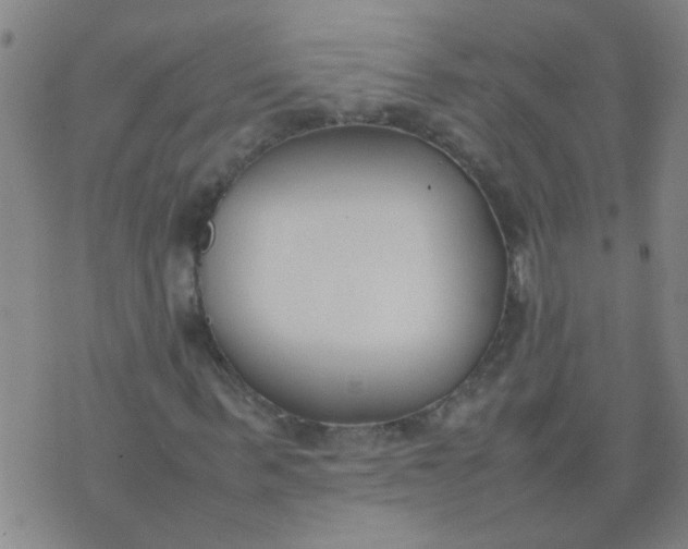 X0000074310963200609081938