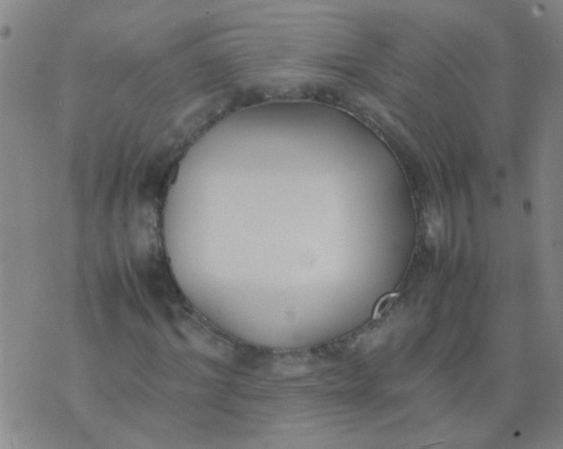 X0000074310964200609081938