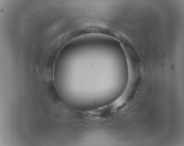 X0000074310965200609081938