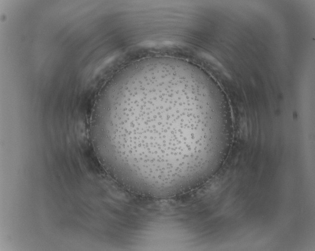 X0000074310966200609081938