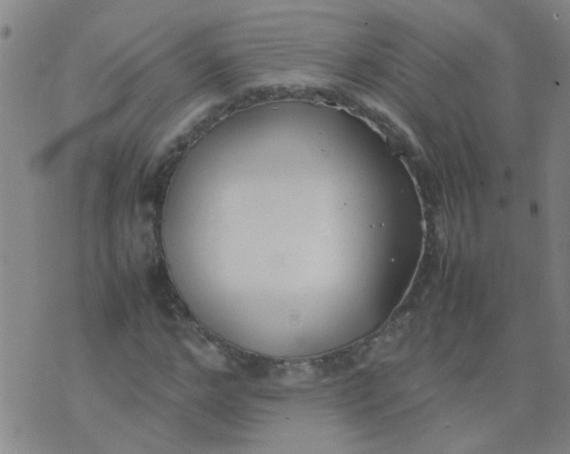 X0000074310968200609081938