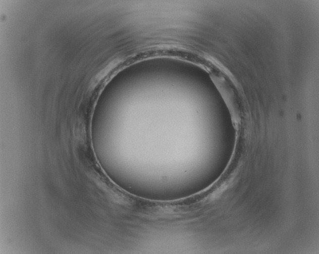 X0000074310969200609081938