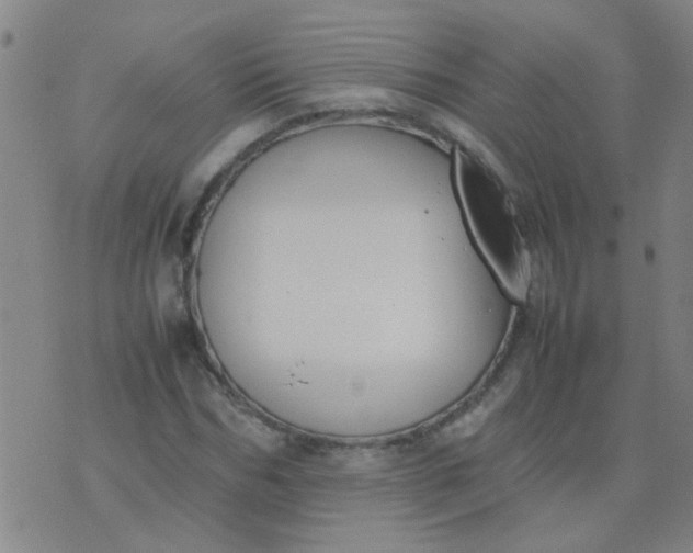 X0000074310970200609081938