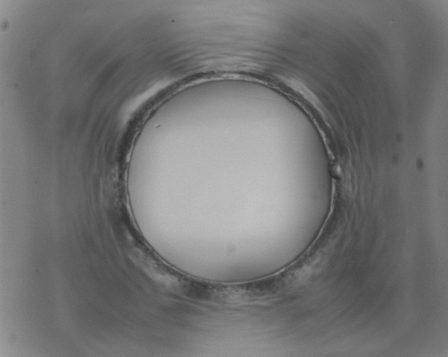 X0000074310971200609081938