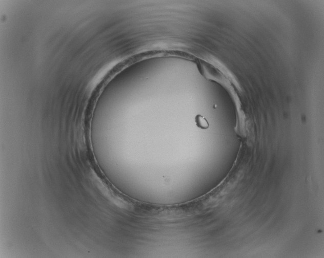 X0000074310972200609081938