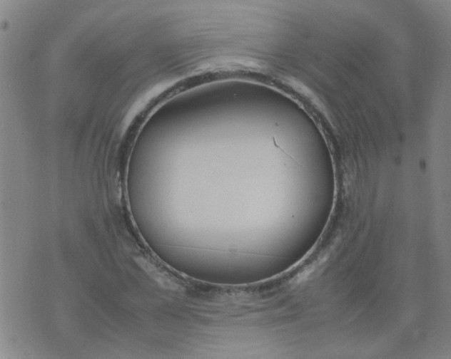 X0000074310973200609081938