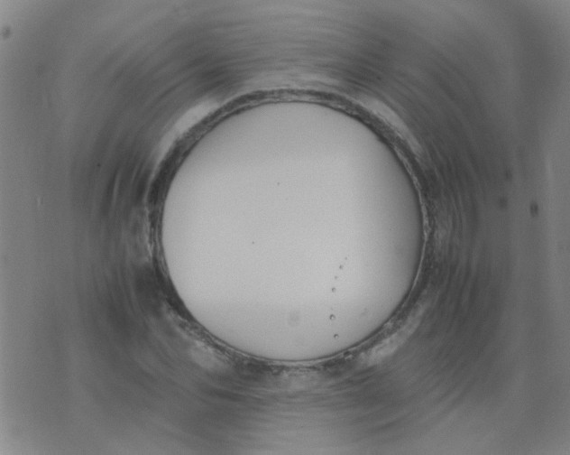 X0000074310974200609081938