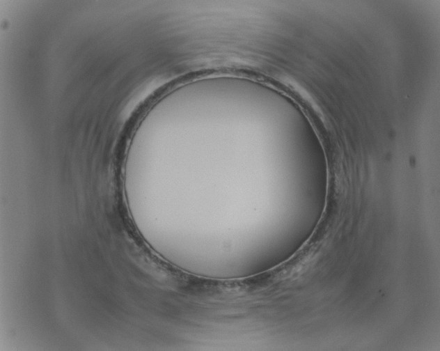 X0000074310975200609081938