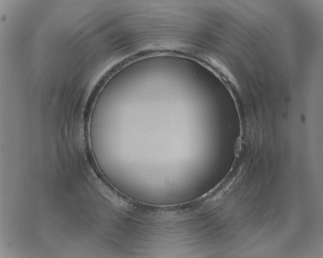 X0000074310976200609081938