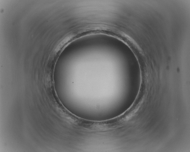 X0000074310977200609081938