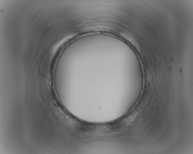 X0000074310979200609081938