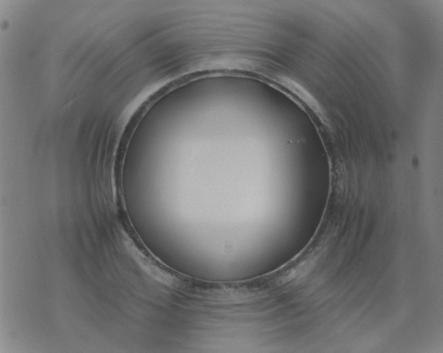 X0000074310980200609081938