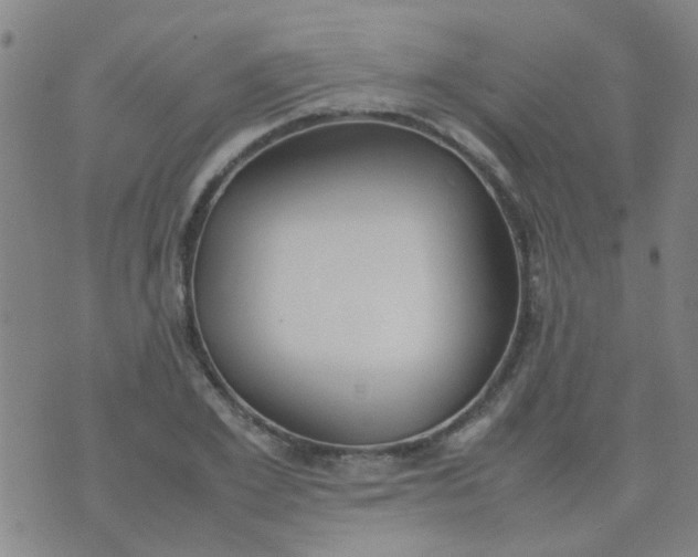 X0000074310981200609081938