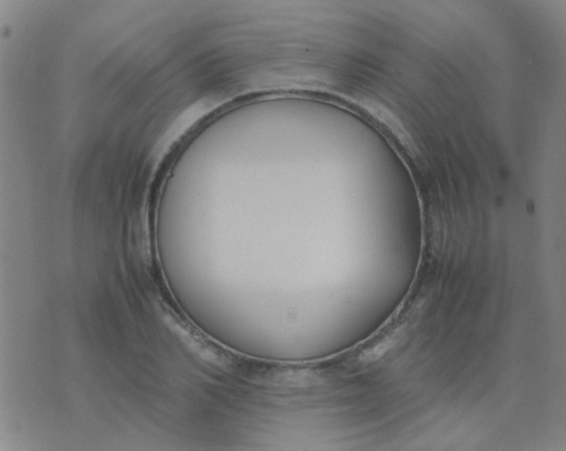 X0000074310982200609081938