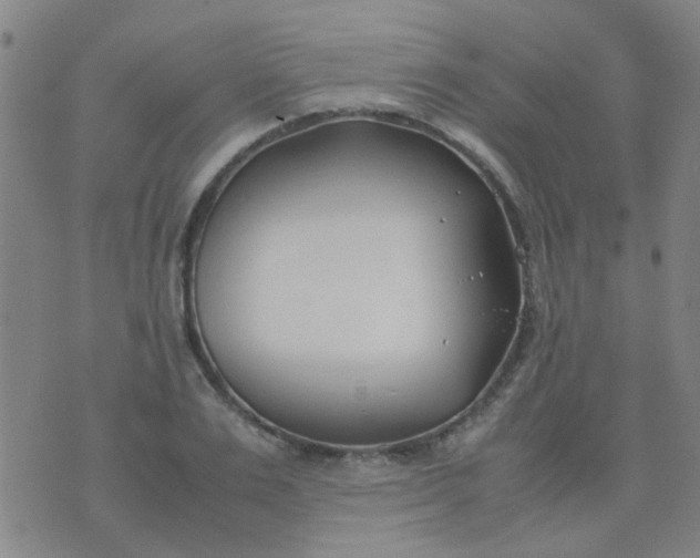 X0000074310983200609081938