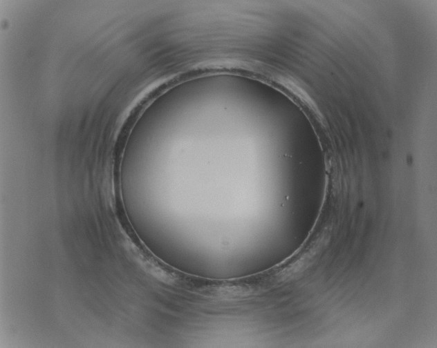 X0000074310984200609081938