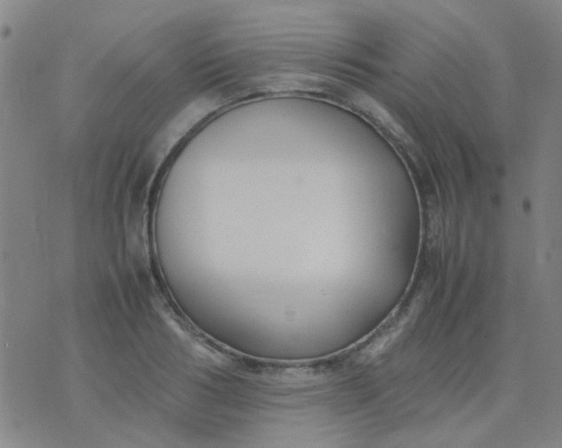 X0000074310986200609081938