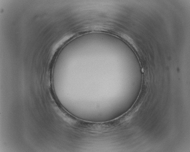 X0000074310987200609081938