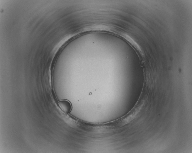 X0000074310988200609081938