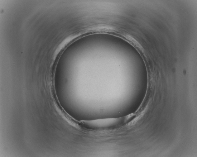 X0000074310989200609081938