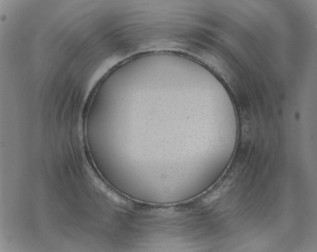 X0000074310990200609081938