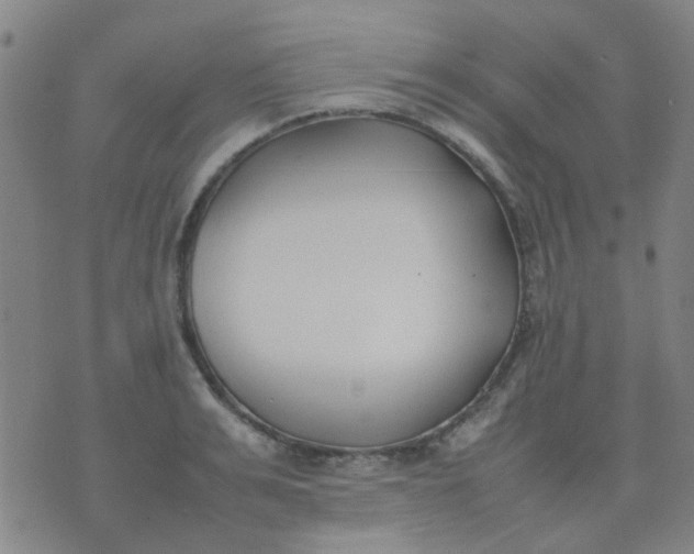 X0000074310991200609081938