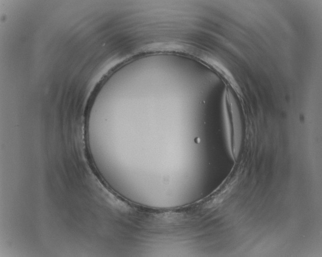 X0000074310992200609081938