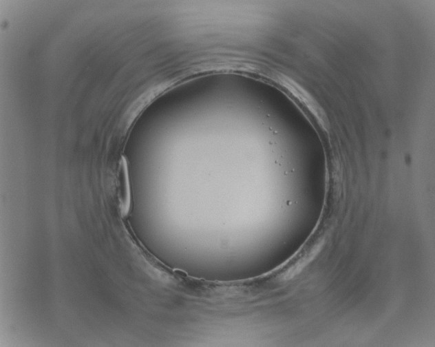 X0000074310993200609081938