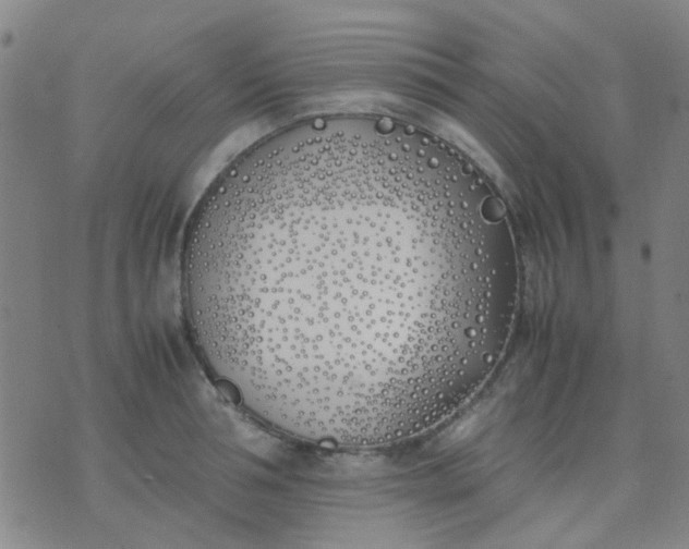 X0000074310994200609081938