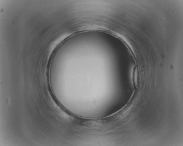 X0000074310995200609081938