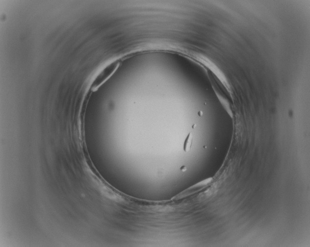 X0000074310996200609081937