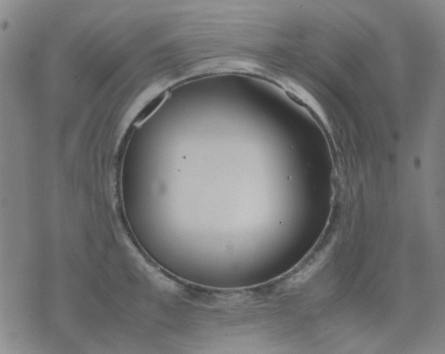 X0000074310997200609081937