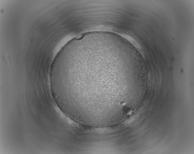 X0000074310998200609081937