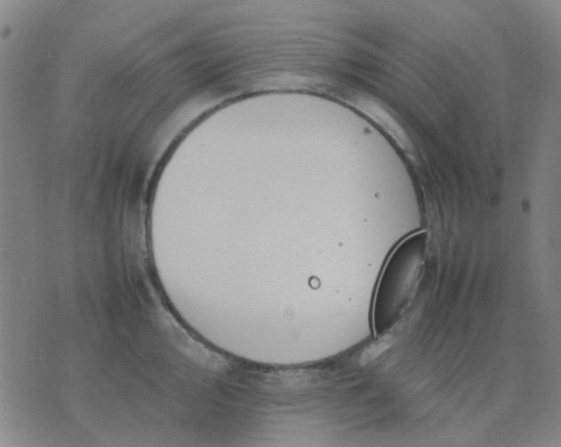 X0000074311000200609081937